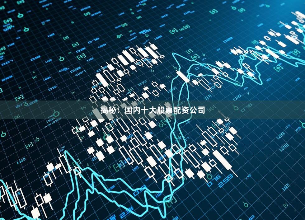 揭秘：国内十大股票配资公司
