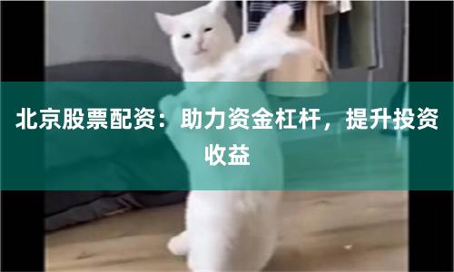 北京股票配资：助力资金杠杆，提升投资收益